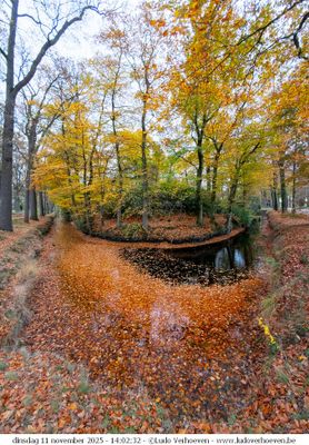 Herfst - Autumn - Herbst - Automne 