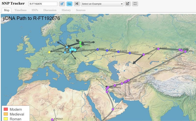 Huffman BigY R-FT192676  R1a