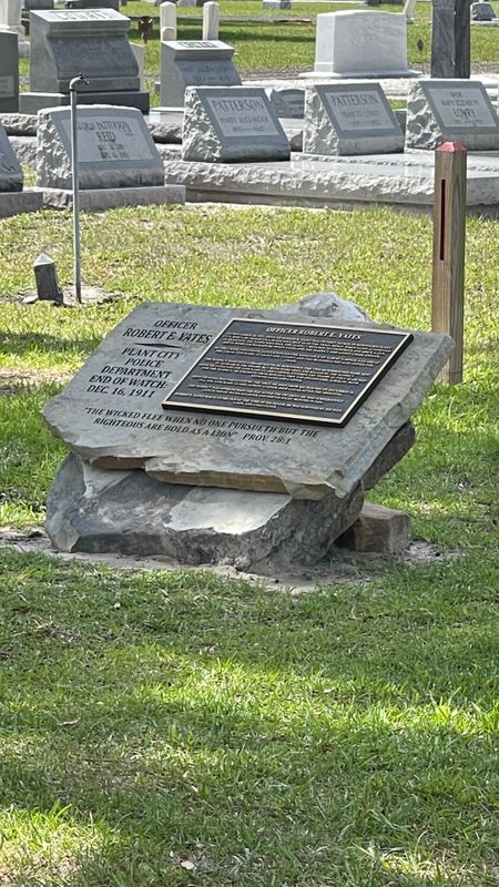 2023-05-15 15.36.38.jpg