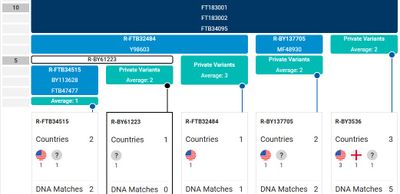 Ballard Group 1 YDNA Block Tree Jan 2025