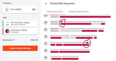 Autosomal Chart in cM.jpg