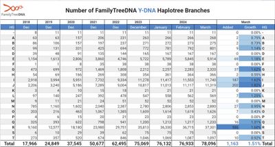 BigY Haplogroups and discovered branches April 2024