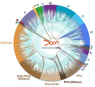 Boyt/Boyte/Boyett/e DNA Surname Project