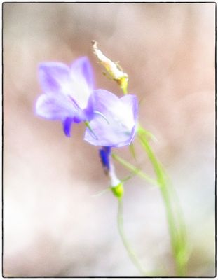 colour impressions