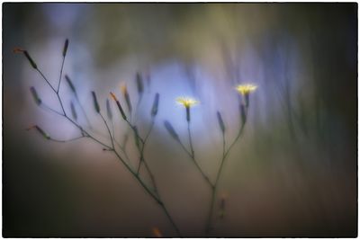 colour impressions