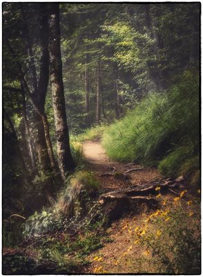 landscapes_color