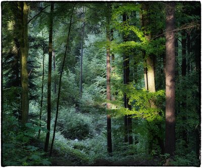 landscapes_color