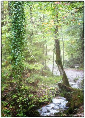 landscapes_color