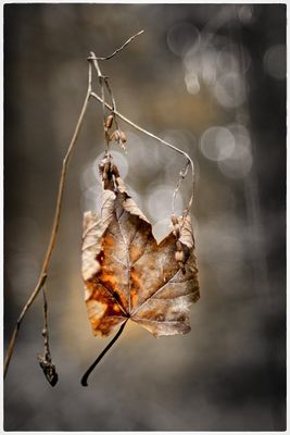 colour impressions