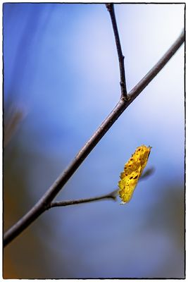colour impressions