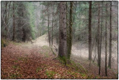 landscapes_color