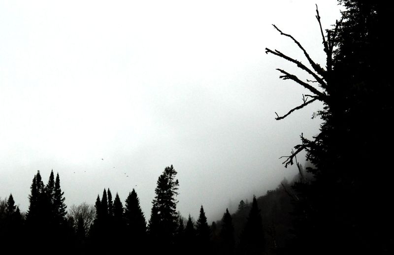 Atmosphre d'Halloween