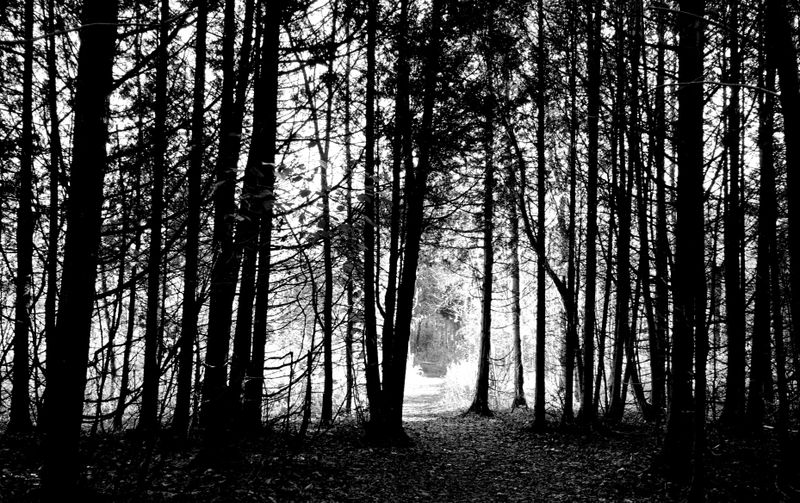 Arrivée à la fin de semaine