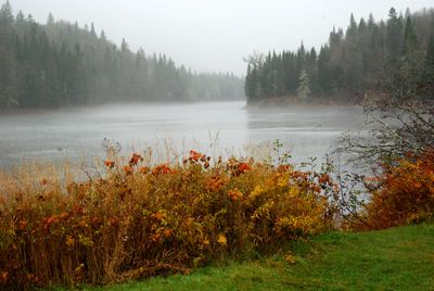 g13/83/550183/3/173108559.53e5125c.JPEG