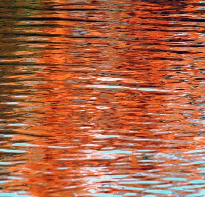 Couleurs drable  sucre, Parc des Moulins