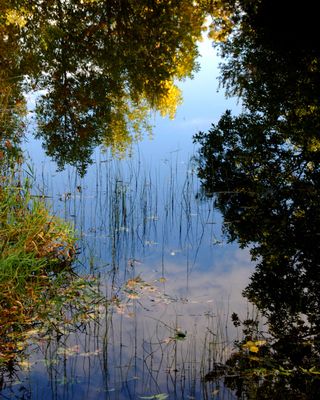 reflets, Cap Tourmente 
