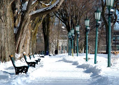 Lalle enneige du parc Jeanne dArc 