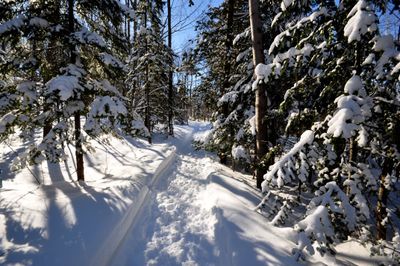 PARC DU LAC ST-AUGUSTIN