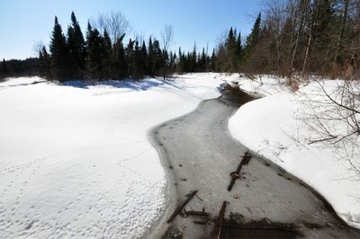  Marais du Nord , Printemps tardif