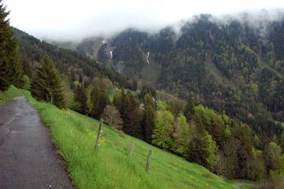 Petit chemin  flanc de montagne 