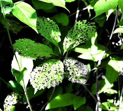 g13/83/550183/3/173854663.07c69e48.JPEG