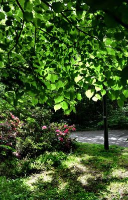 PARC DES MOULINS