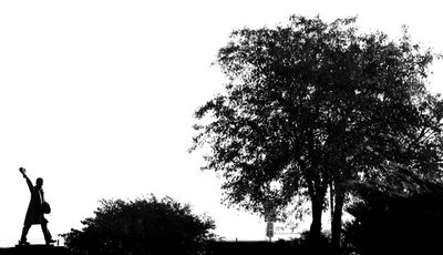 g13/83/550183/3/174858752.0af7a860.JPEG