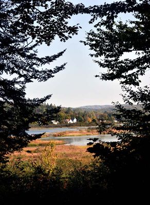MARAIS DU NORD