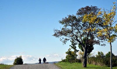 PROMENADE À LAUZON