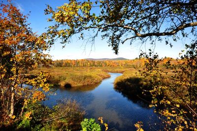 Les mandres de la rivire Montmorency