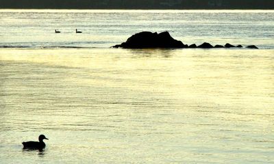  Plage Jacques Cartier