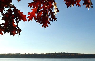 Plage Jacques Cartier 