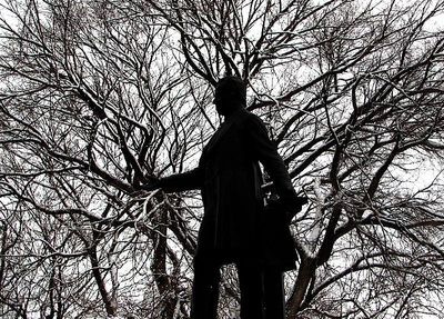 Lhomme-arbre