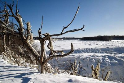 PARC DES CHUTES DE LA CHAUDIÈRE