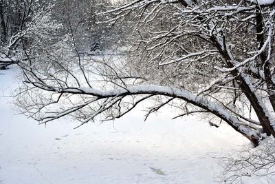 PARC LINÉAIRE DE LA RIVIÈRE ST-CHARLES