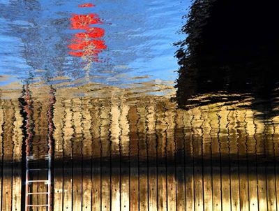 RÉFLEXIONS -------REFLECTIONS
