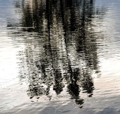 RÉFLEXIONS -------REFLECTIONS
