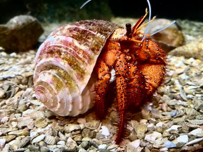 AQUARIUM DE QUÉBEC