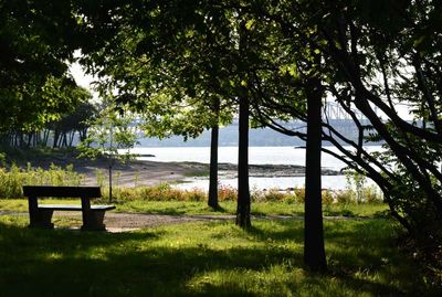 PLAGE JACQUES CARTIER