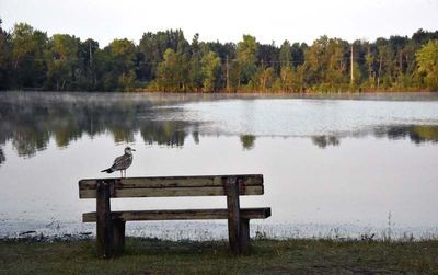 BASE DE PLEIN AIR DE STE-FOY