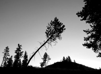 NOIR ET BLANC