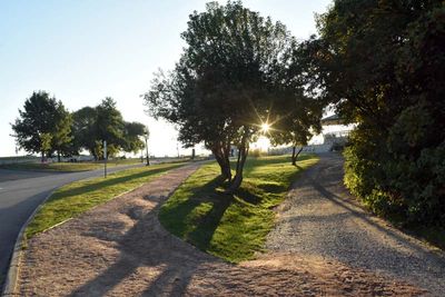 LE PARC DES PLAINES D'ABRAHAM