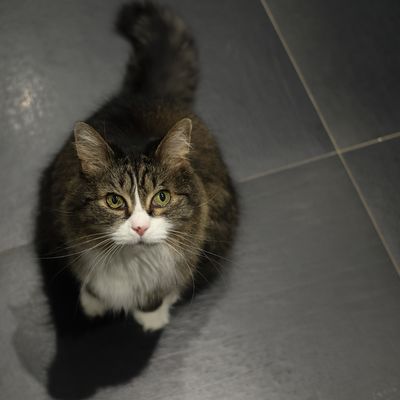 Lucy