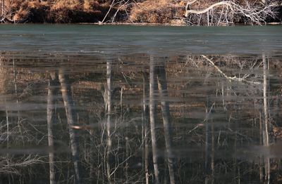 First ice