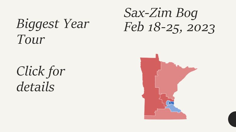 Sax-Zim Bog Tour