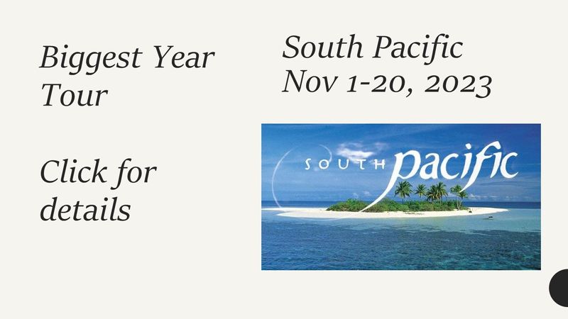 US Pacific Territories Birding Tour, with Lance Tanino and Nick Komar