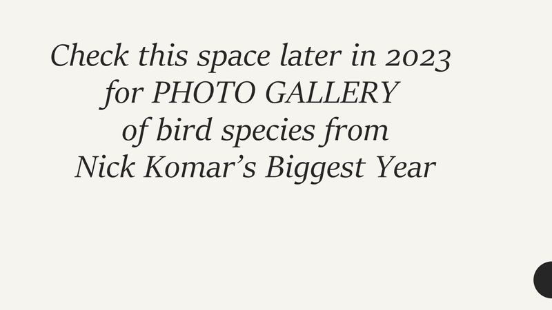 2023 Biggest Year Photo Checklist