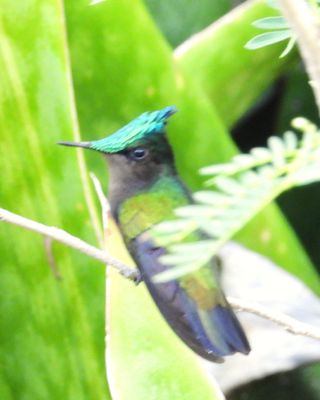 g13/83/612483/3/175053094.b1558a5d.JPEG