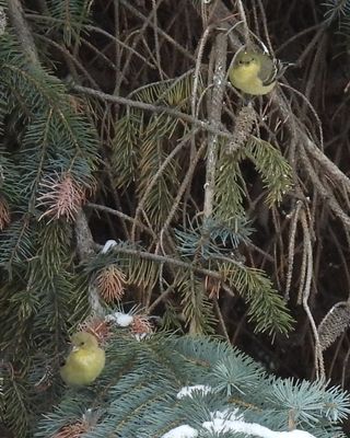 g13/83/612483/3/175137584.27f38616.JPEG