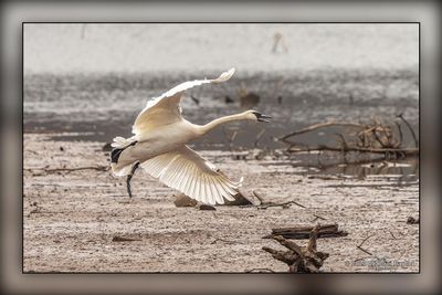 _MTK5032-Edit.jpg